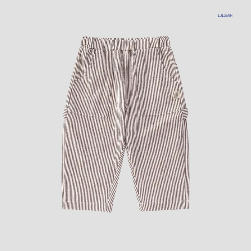 Casual Gestreepte Broek